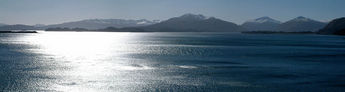 Kodiak Bay Alaska
© 2005 Ray Holbrook