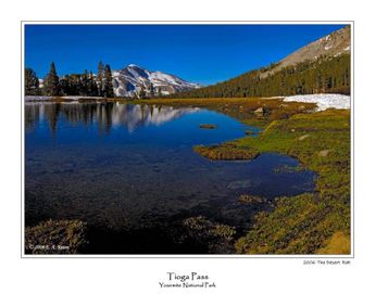 Tioga Pass, Yosemite National Park
© 2006 Eric A. Rosen 