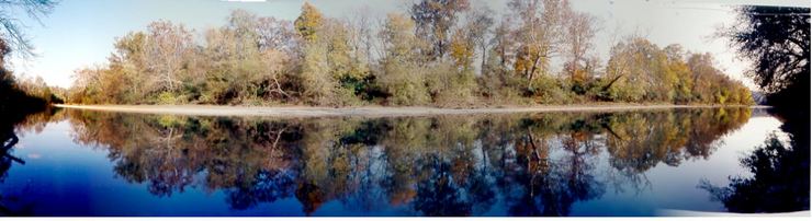 Little Miami River from our back yard
© 2001 Bob Kain