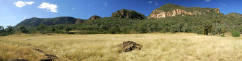Rhylstone Range (Western side of Great Dividing Range) NSW Aust.
© 2005 Craig Mason