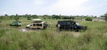 Safari cars stuck in mud. Tarangire National Park, Tanzania, Africa
© 2012 Knut Dalen