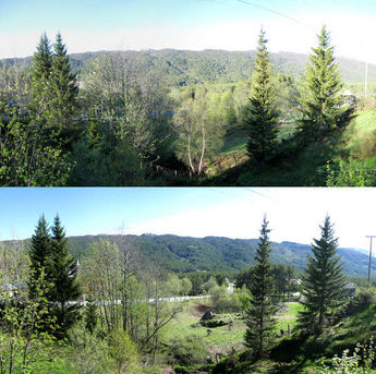 The view before and after cutting some trees. Hovet, Norway
© 2009 Knut Dalen