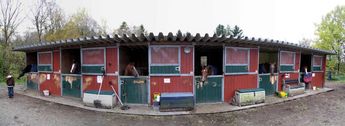 Emil and six horses at Alvøen Rideklubb, Bergen, Norway
© 2009 Knut Dalen