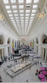 Chicago's Field Museum (Inside)
© 2004 Reed Radcliffe 