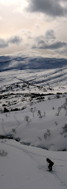 Winter at Kvamskogen, Norway
© 2005 Knut Dalen